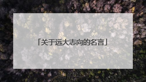 关于远大志向的名言