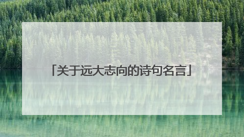 关于远大志向的诗句名言