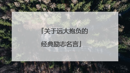关于远大抱负的经典励志名言