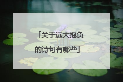关于远大抱负的诗句有哪些