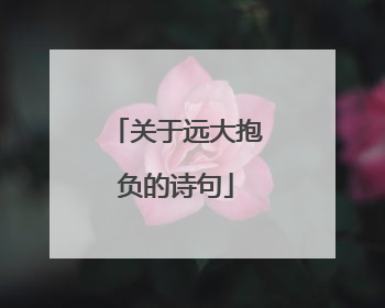 关于远大抱负的诗句