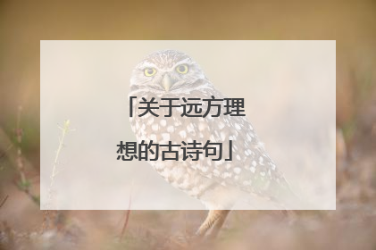 关于远方理想的古诗句