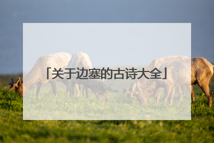 关于边塞的古诗大全