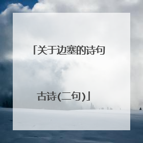 关于边塞的诗句古诗(二句)