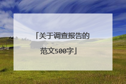 关于调查报告的范文500字