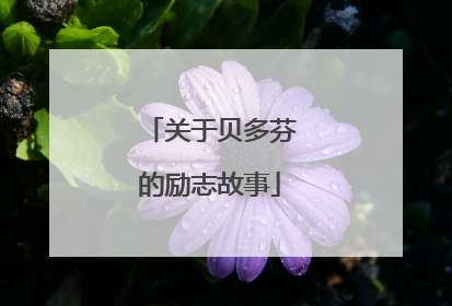 关于贝多芬的励志故事