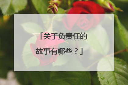 关于负责任的故事有哪些?