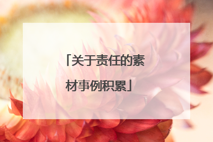 关于责任的素材事例积累