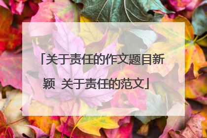 关于责任的作文题目新颖 关于责任的范文