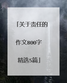 关于责任的作文800字精选5篇
