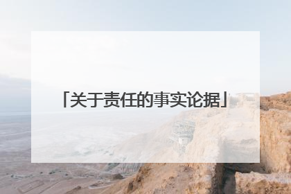 关于责任的事实论据