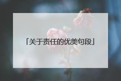 关于责任的优美句段