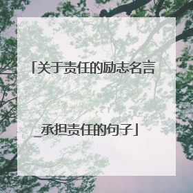 关于责任的励志名言_承担责任的句子