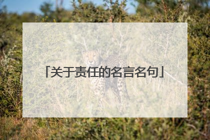 关于责任的名言名句