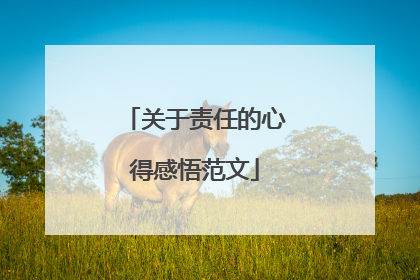 关于责任的心得感悟范文