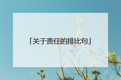 关于责任的排比句