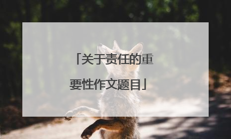 关于责任的重要性作文题目