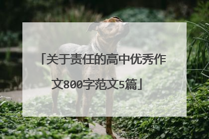 关于责任的高中优秀作文800字范文5篇