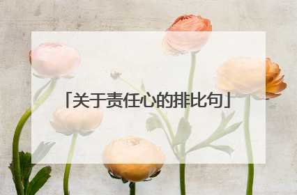 关于责任心的排比句