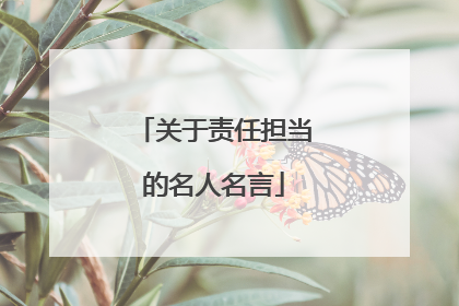 关于责任担当的名人名言