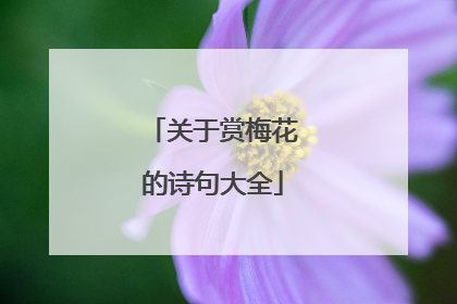 关于赏梅花的诗句大全