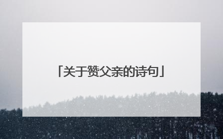 关于赞父亲的诗句