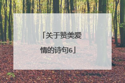 关于赞美爱情的诗句6