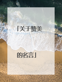 关于赞美的名言