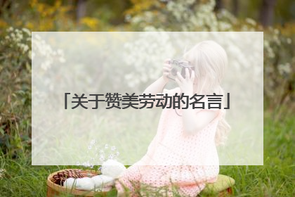 关于赞美劳动的名言
