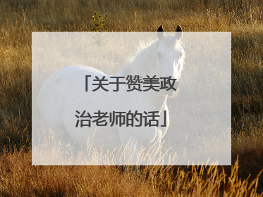 关于赞美政治老师的话