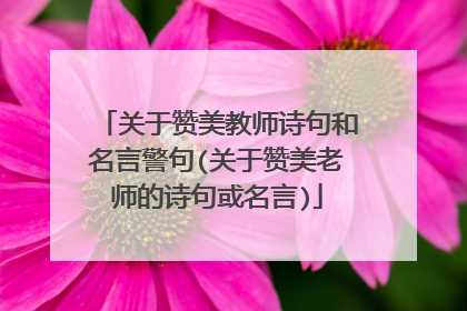 关于赞美教师诗句和名言警句(关于赞美老师的诗句或名言)