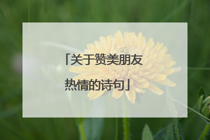 关于赞美朋友热情的诗句