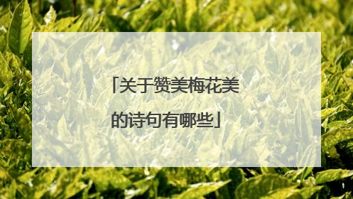 关于赞美梅花美的诗句有哪些
