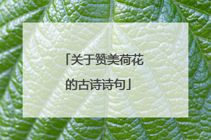 关于赞美荷花的古诗诗句