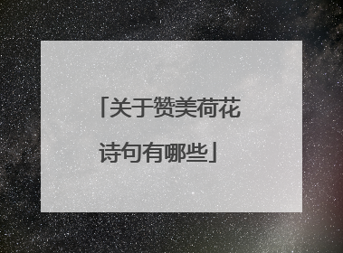 关于赞美荷花诗句有哪些