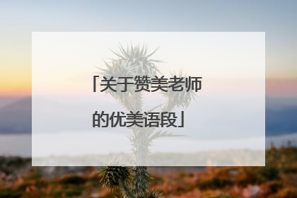关于赞美老师的优美语段