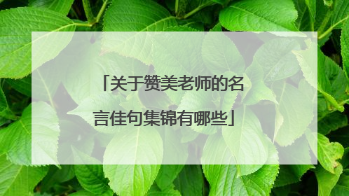 关于赞美老师的名言佳句集锦有哪些