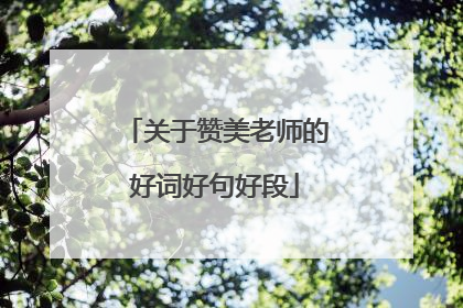 关于赞美老师的好词好句好段