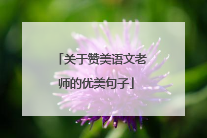 关于赞美语文老师的优美句子