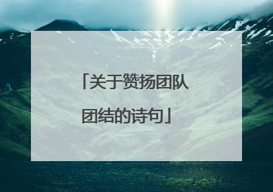 关于赞扬团队团结的诗句