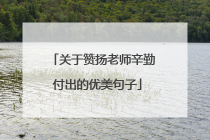 关于赞扬老师辛勤付出的优美句子