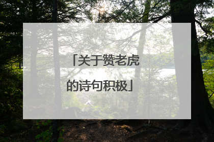 关于赞老虎的诗句积极