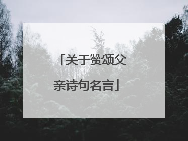 关于赞颂父亲诗句名言