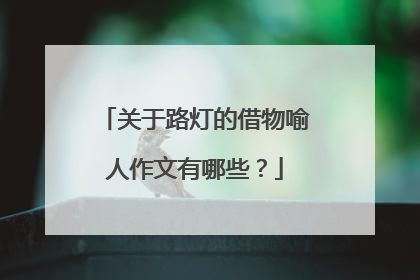 关于路灯的借物喻人作文有哪些？