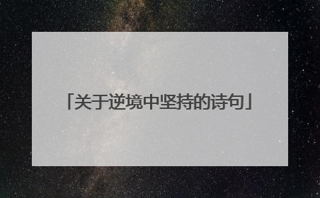 关于逆境中坚持的诗句