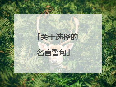 关于选择的名言警句