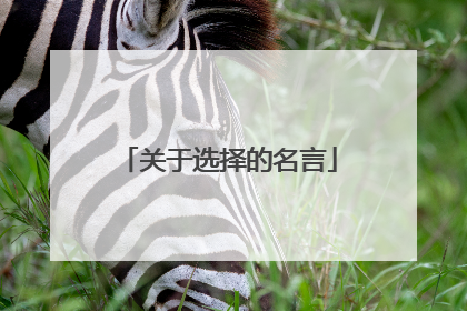 关于选择的名言