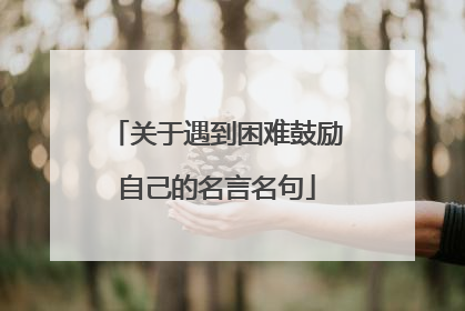 关于遇到困难鼓励自己的名言名句