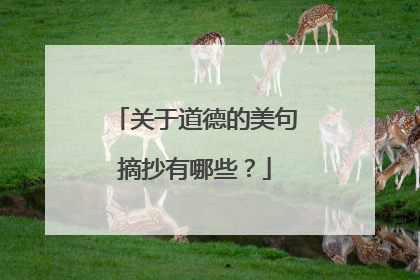 关于道德的美句摘抄有哪些？