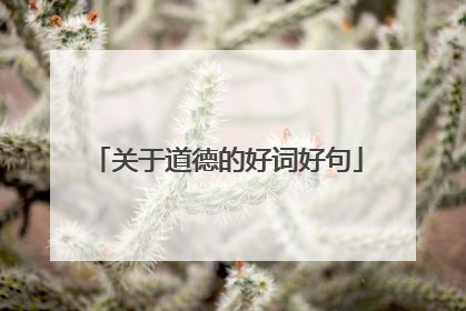 关于道德的好词好句